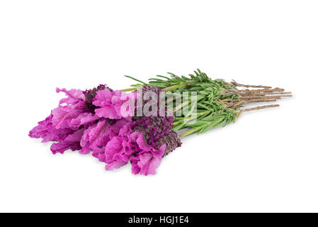 Ensemble de fleurs de lavande isolé sur fond blanc Banque D'Images