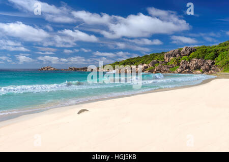 Belle plage de sable blanc à Seychelles Banque D'Images