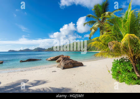 Anse Georgette Beach sur l'île de Praslin aux Seychelles. Banque D'Images