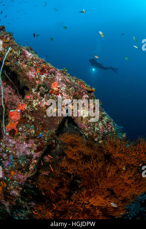 Grand angle coral reef view avec diver, Bali, Indonésie Banque D'Images