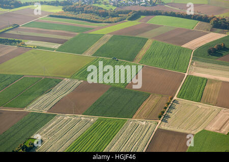 Vue aérienne, de charbon, de l'agrobusiness, tendances, Übach-Palenberg, Kreis Heinsberg, Rhénanie du Nord-Westphalie, Allemagne, Europe Banque D'Images