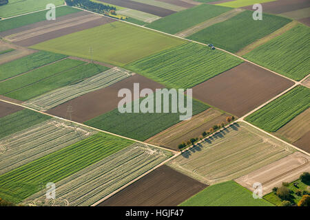 Vue aérienne, de charbon, de l'agrobusiness, tendances, Übach-Palenberg, Kreis Heinsberg, Rhénanie du Nord-Westphalie, Allemagne, Europe Banque D'Images