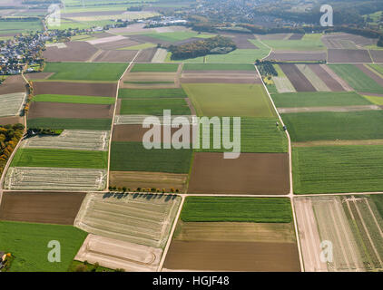 Vue aérienne, de charbon, de l'agrobusiness, tendances, Übach-Palenberg, Kreis Heinsberg, Rhénanie du Nord-Westphalie, Allemagne, Europe Banque D'Images