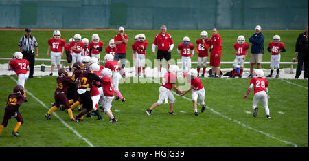 Les mains de football quart-arrière en marche arrière comme dans les blocs de la ligne de jeu football joué par les garçons l'âge de 11 ans. St Paul Minnesota MN USA Banque D'Images