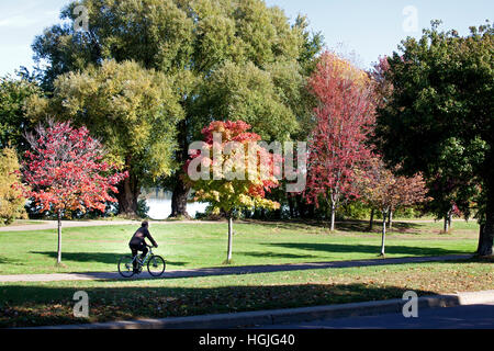 Lone bicycler colporter le long de la piste cyclable autour du lac Nokomis touché de la beauté de l'automne. Minneapolis Minnesota MN USA Banque D'Images