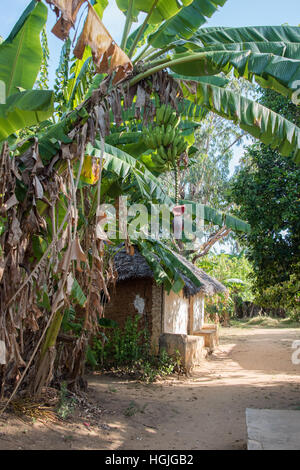 L'île de Chole, Tanzanie Banque D'Images