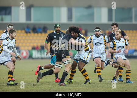 Parme, Italie. 22 janvier, 2017. London Wasps' flanker Ashley Johnson essaie de garder la balle contre Zèbre en Champions d'incident enregistrées © Massimiliano Carnabuci/Alamy news Banque D'Images