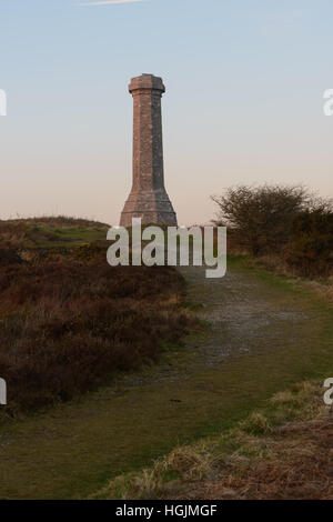 Monument à Hardy, Dorset, UK. 22 janvier 2017. Monument à Hardy au coucher du soleil. © Dan Tucker/Alamy Live News Banque D'Images