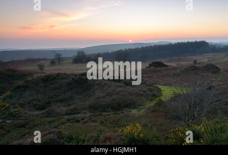 Monument à Hardy, Dorset, UK. 22 janvier 2017. Un hiver coloré coucher du soleil. © Dan Tucker/Alamy Live News Banque D'Images