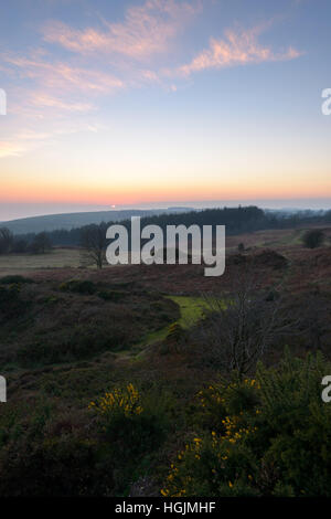 Monument à Hardy, Dorset, UK. 22 janvier 2017. Un hiver coloré coucher du soleil. © Dan Tucker/Alamy Live News Banque D'Images