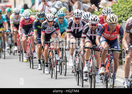 Adélaïde, Australie. 22 janvier, 2017. Riders lors de l'étape 6 du Santos Tour Down Under 2017. Credit : Ryan Fletcher/Alamy Live News Banque D'Images