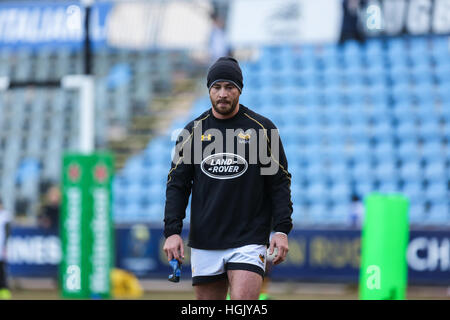 Parme, Italie. 22 janvier, 2017. London Wasps' fly moitié Danny Cipriani dans l'échauffement du match contre Zèbre en Champions d'incident enregistrées © Massimiliano Carnabuci/Alamy news Banque D'Images