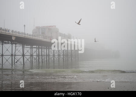 Vol de mouettes dans le ciel en un jour brumeux au-dessus de jetée de Worthing West Sussex, Angleterre. Banque D'Images