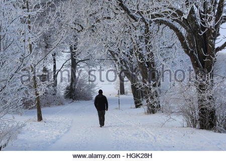 La traite, la Bavière. 23 Jan, 2017. Un homme marche à travers les bois près de la traite en Bavière en tant que les températures restent très froid dans tout l'état. Credit : reallifephotos/Alamy Live News Banque D'Images