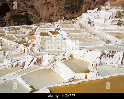 Les mines de sel de Maras à Marasal, Vallée Sacrée, Pérou Banque D'Images