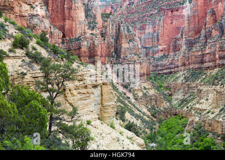 Un canyon rocheux coupant à travers les couches de calcaire Muav Redwall et du Grand Canyon. Le Parc National du Grand Canyon, Arizona Banque D'Images