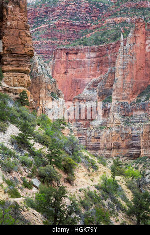 Le North Kaibab Trail ordre croissant vers la formation de calcaire Redwall dans le Grand Canyon. Le Parc National du Grand Canyon, Arizona Banque D'Images