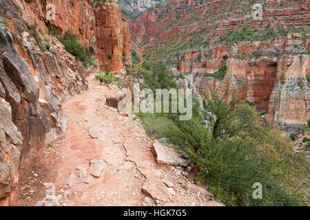 Une section particulièrement escarpée et rocheuse de la North Kaibab Trail dans le Grand Canyon. Le Parc National du Grand Canyon, Arizona Banque D'Images