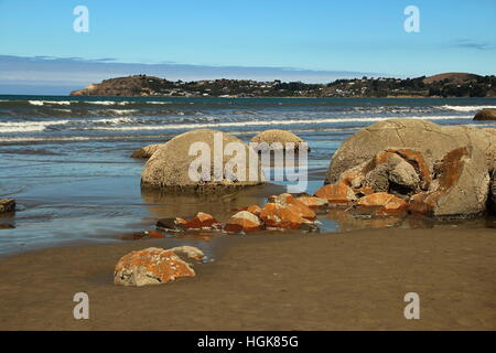 Moeraki Boulders, Nouvelle-Zélande Banque D'Images