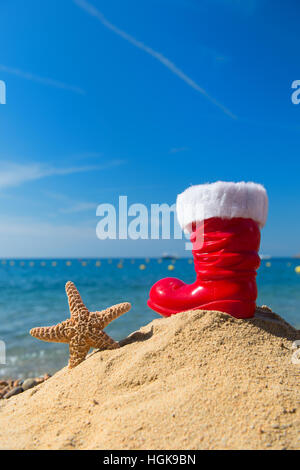 Funny starfish et rouge démarrer à partir de Père Noël à la plage pour Noël Banque D'Images