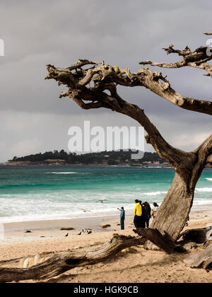 Un jour d'hiver avec l'arrivée d'une tempête - Carmel-by-the-Sea sur la péninsule de Monterey, en Californie. Banque D'Images