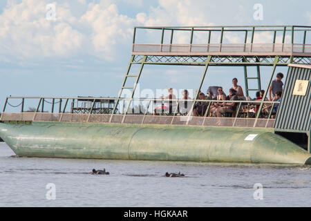 Les touristes sur une river safari dans le Parc National de Chobe, Botswana, Africa Banque D'Images