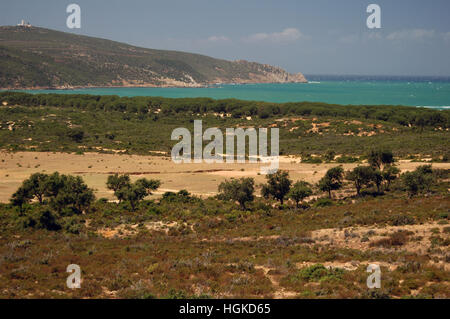 Cap Serrat, Nord Ouest de la Tunisie Banque D'Images