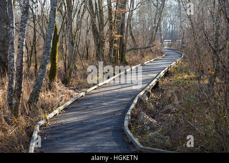 Voie de Passage / pied / chemin / sentier de promenade touristes / les randonneurs en marais de Lavours Réserve naturelle nationale, Ain, France Banque D'Images