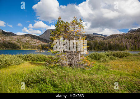 Sur la rive du Grand lac Sandy, Bridger désert, le Wyoming. Banque D'Images