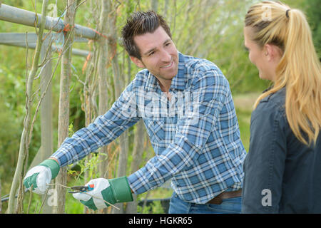 Les jeunes arbres élagage Man Banque D'Images
