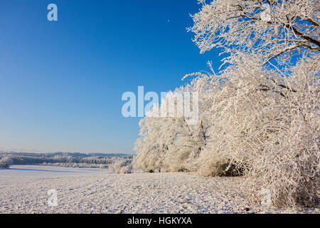 Paysage d'hiver - Bavière, Allemagne Banque D'Images