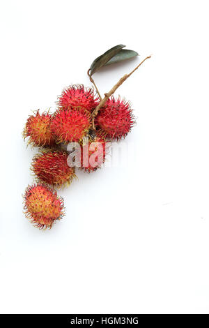 Close up de Nephelium lappaceum ramboutan ou également connu sous le nom de fruits isolés contre fond blanc Banque D'Images