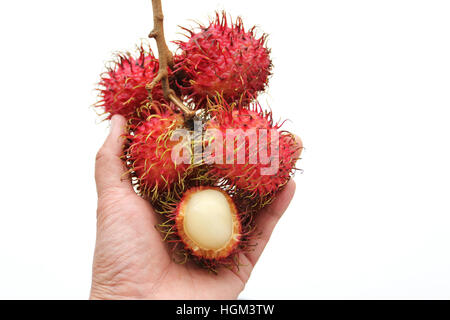 Close up de Nephelium lappaceum ramboutan ou également connu sous le nom de fruits isolés contre fond blanc Banque D'Images