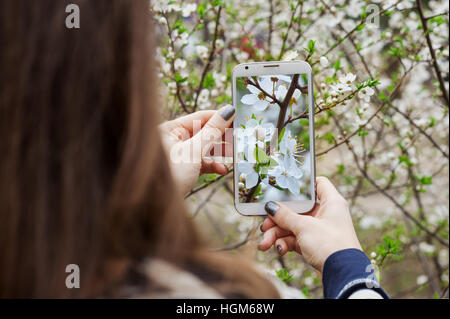 Jeune femme prend photo sur smartphone blooming spring tree Banque D'Images