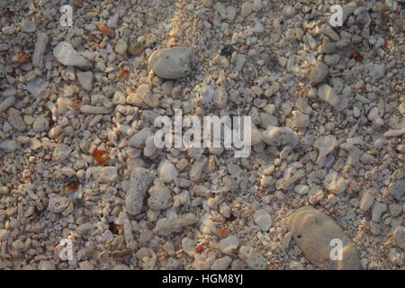 Le sable et les coquillages sous l'eau Banque D'Images