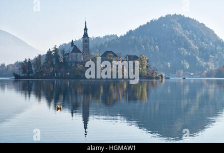 Voir l'île de Bled reflétant dans les eaux du lac de Bled en automne, la Slovénie Banque D'Images