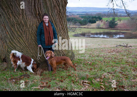 Dog walker woman walking gazebo maison canard étang Benbow mouettes Cowdray Park Easebourne Sussex Oak Queen Elizabeth Banque D'Images