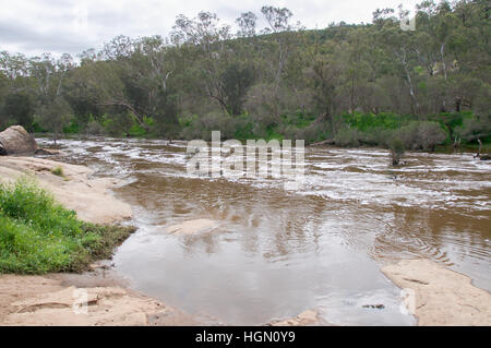 Roche de granit, whitewater et forestiers luxuriants le long de la Swan River avec Bell Rapids eaux dans Brigadoon, ouest de l'Australie. Banque D'Images