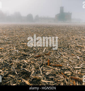 Une église dans le brouillard dense de la région Lombardie en Italie au cours de l'hiver, champ de maïs congelé dystopique - se sentir et paraître Banque D'Images