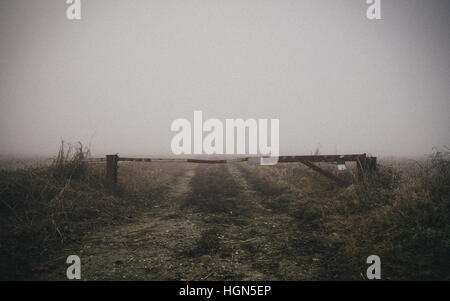 Une porte avec un épais brouillard de la région Lombardie en Italie au cours de l'hiver, champ de maïs congelé Banque D'Images