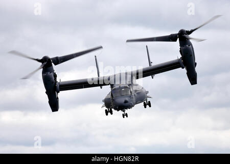 Un United States Air Force, 7e Escadron d'opérations spéciales, Bell Boeing annonce-22B Osprey basé à RAF Mildenhall, Suffolk, Angleterre. Banque D'Images