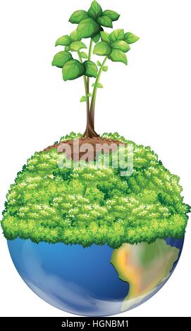 Plantes vertes sur la terre illustration Illustration de Vecteur