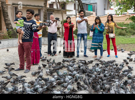 Alimentation Pigeon cérémonie à Shri Dharmanath Jain temple, Mattancherry, Kochi (Cochin), Inde Banque D'Images