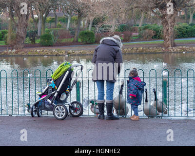 Mère et enfant enfant avec un buggy nourrir les canards dans le parc Banque D'Images