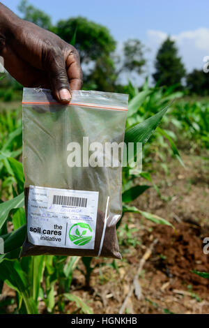 KENYA, comté de Bungoma, Mabanga, institut de formation agricole, l'analyse du sol mobile lab / KENIA, landwirtschaftliches Traningszentrum Bodentest, les mobiles du travail Analyser und Banque D'Images