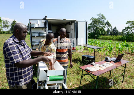 KENYA, comté de Bungoma, Mabanga, institut de formation agricole, l'analyse du sol mobile lab / KENIA, landwirtschaftliches Traningszentrum Bodentest, les mobiles du travail Analyser und Banque D'Images
