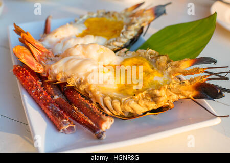 Crevettes géantes grillées river épicé avec sauce aux fruits de mer inwhite dur. Banque D'Images