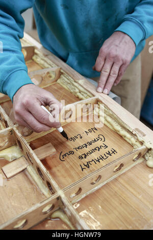 Neal Hathaway, menuisier et fabricant de meubles en bois, la création d'une planche de surf pour l'alésage du bras Severn. Banque D'Images