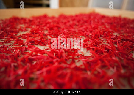 HERBORISTE Banque D'Images