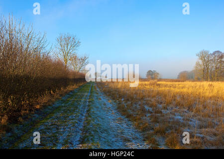 Un couvert de givre bridleway sec avec de l'herbe d'or, par une haie d'aubépine dans le pittoresque paysage english channel en hiver. Banque D'Images